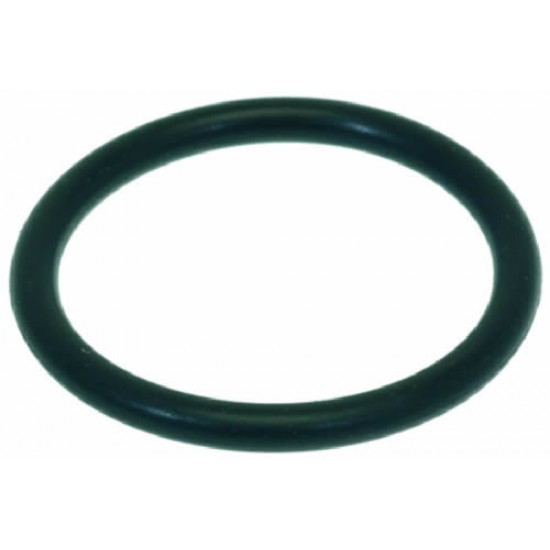 O-RING 04125 EPDM
