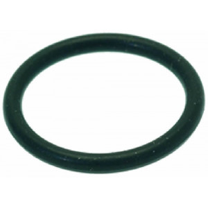 ORM GASKET 0160 - 20 EPDM
