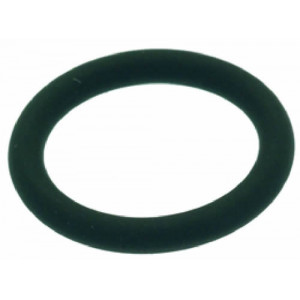 O-RING 0119 FKM