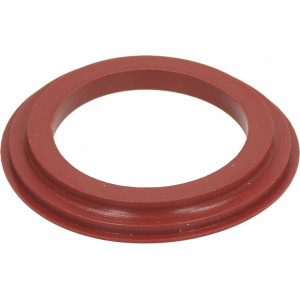 LIP SEAL FOR CAPSULE LIP SEAL FOR CAPSULE