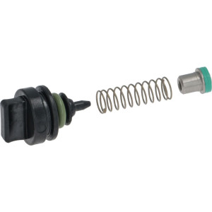 COMPLETE CHECK VALVE KIT