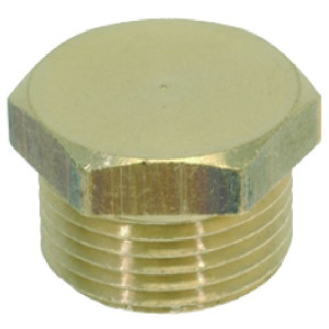 CAP ϕ 20 mm FOR BREW GROUP