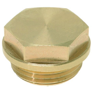 CAP ϕ 20 mm FOR DELIVERY GROUP