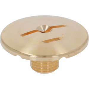 BREW GROUP SPRAY NOZZLE ϕ 30 mm M10x1