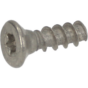 SCREW TSP 3x10 mm