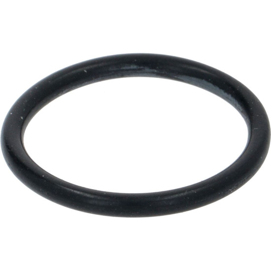 ORM-GASKET SAECO 996530072674