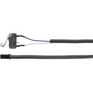 MICROSWITCH SAIA-BURGESS