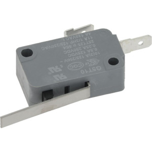 MICROSWITCH ZING EAR G5T10 250V
