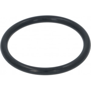 GASKET FOR WATER SOFTENER CAP