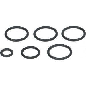 AUTOTROL O-RING SET 255/440i