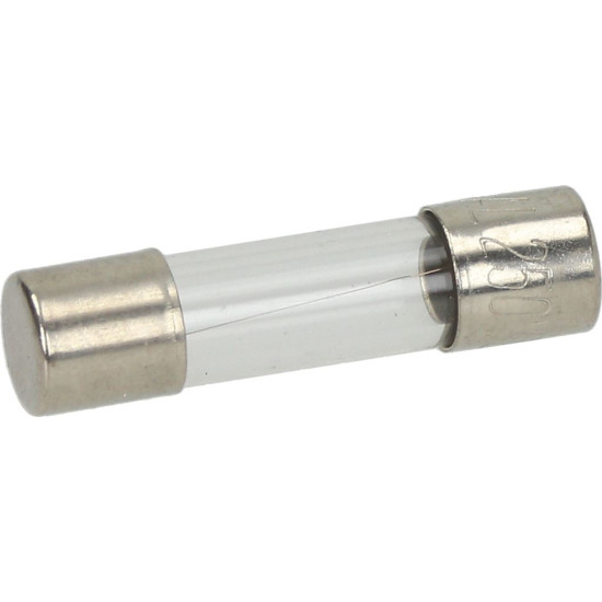 DELAY FUSE ϕ 5x20 mm - 10 PCS