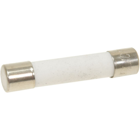 QUICK ACTING FUSE ϕ 6.3x32 mm - 10 PCS