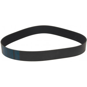 BELT POLY V 1562 L615 16N