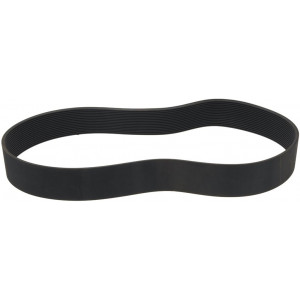 BELT POLY V 1664 L655 16N