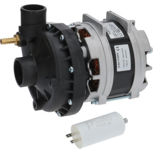 ELECTRIC PUMP APIM 2031 1HP