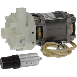ELECTRIC PUMP FIR 3923DX 0,25HP