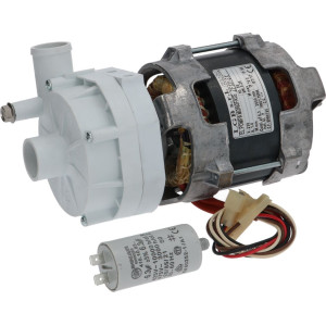 ELECTRIC PUMP LGB ZF131SX 0.33HP