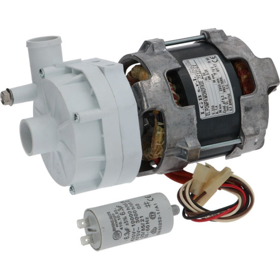ELECTRIC PUMP LGB ZF131SX 0.33HP ELECTRIC PUMP LGB ZF131SX 0.33HP