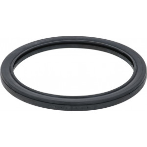 DOOR GLASS GASKET ϕ 310 mm