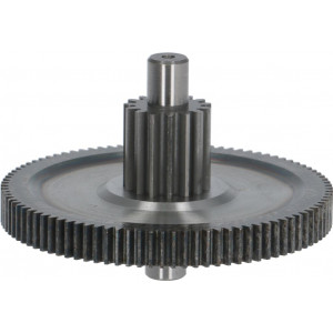 GEARWHEEL AND INTERM. PINION