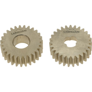 PAIR GEARS STAINLESS STEEL
