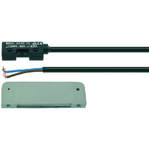 MAGNETIC MICROSWITCH E510 1V