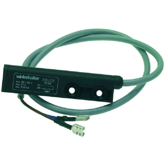 MAGNETIC MICROSWITCH 250V