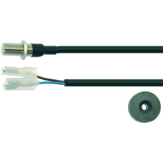 MAGNETIC MICROSWITCH D1041V