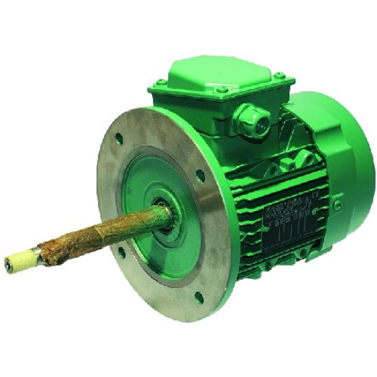 MOTOR LEROY SOMER LS80L1SFT MOTOR LEROY SOMER LS80L1SFT