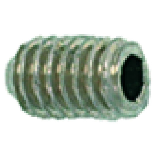SCREW NO HEAD WITH HEXAGON SOCKET M4X6 SCREW NO HEAD WITH HEXAGON SOCKET M4X6