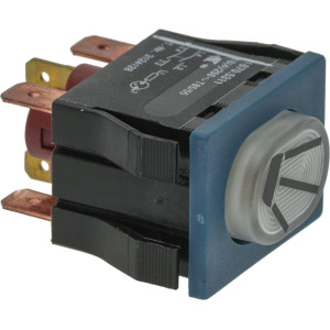 SWITCH 2 POLE BRIGHT WHITE