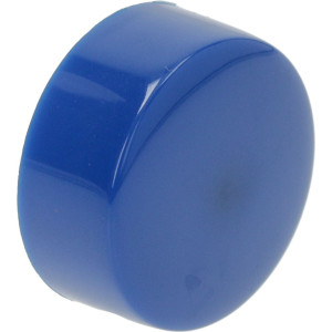 PUSH-BUTTON ROUND BLUE ϕ 21 mm