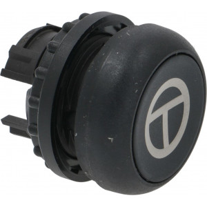 FLUSH PUSH-BUTTON BLACK SIMB. T