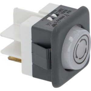 INDICATOR LIGHT WHITE 10A 250V