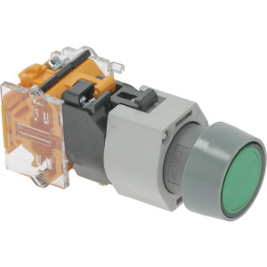 PUSH-BUTTON WITH LIGHT EAO 704.0305