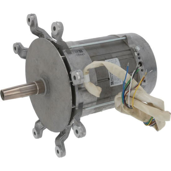 MOTOR HANNING L9ZW84D-286 MOTOR HANNING L9ZW84D-286
