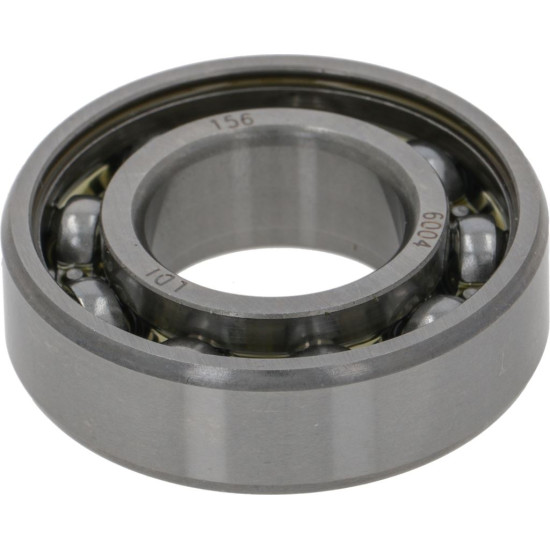 SCREW BEARING 6004 LD1 SCREW BEARING 6004 LD1