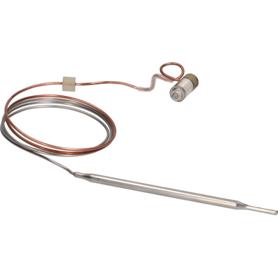 SENSING ELEMENT MINISIT 30÷100°C SENSING ELEMENT MINISIT 30÷100°C