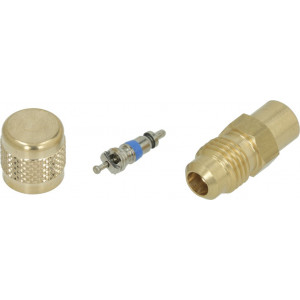 ACCESS VALVE ODS ϕ 6 mm