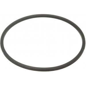 GASKET ICE CREAM OUTLET FLAP