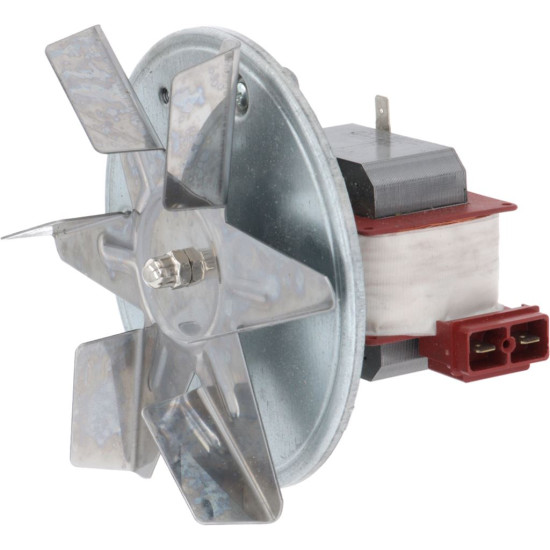 MOTOR WITH FAN