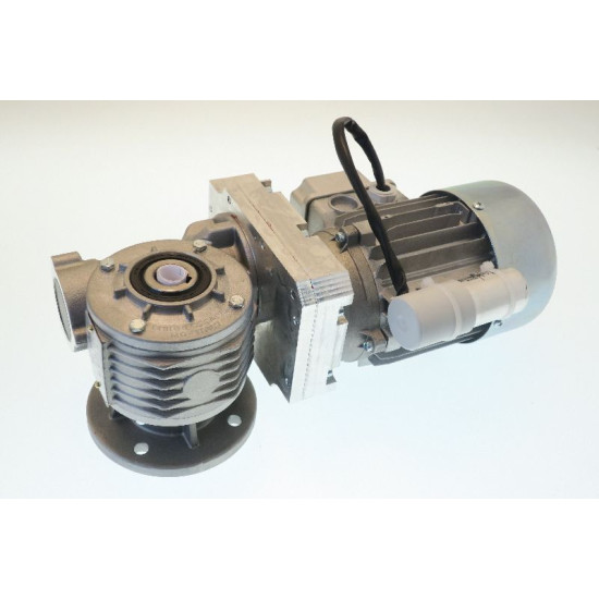GEAR MOTOR