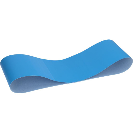 RING CONVEYOR BELT
