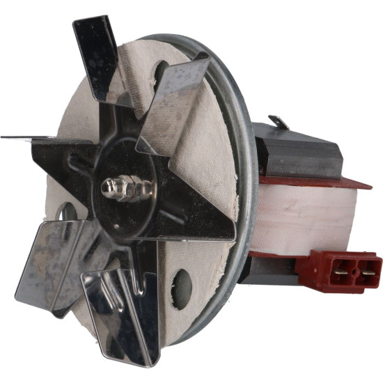 MOTOR WITH FAN