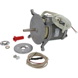 MOTOR HANNING L9FGW4D-395