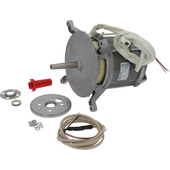 MOTOR HANNING L9FGW4D-395 MOTOR HANNING L9FGW4D-395