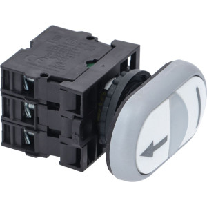 PUSH-BUTTON PANEL REVERSE LUMINOUS TR22-