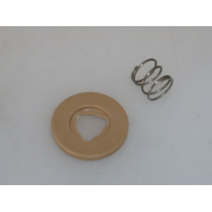 PISTON WITH LOWER SPRING Z3000