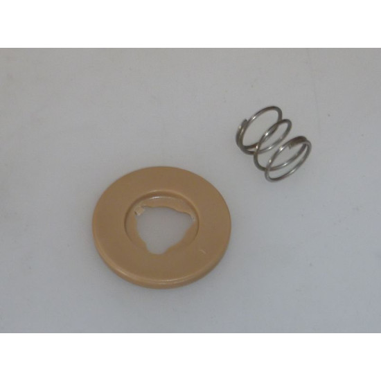 PISTON WITH LOWER SPRING Z3000