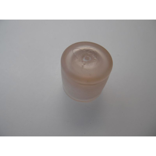 CAP OF PLASTIC FOR WATER TANK